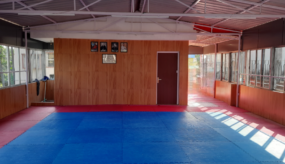 nbp_dojo